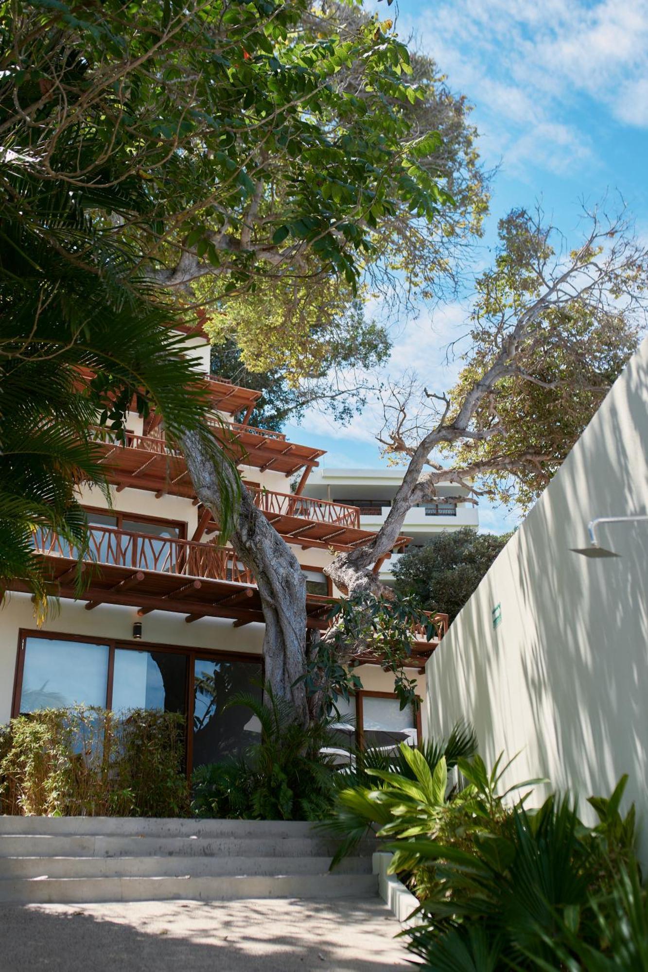 Ysuri Sayulita - Beachfront Hotel מראה חיצוני תמונה